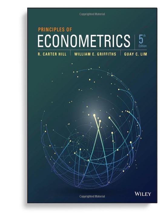 econometrics pdf book